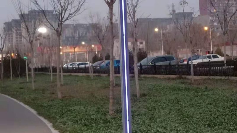 别墅花园灯光效果图：如何打造梦幻光影空间**